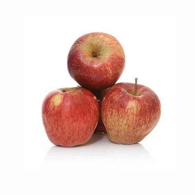 p7.jpg